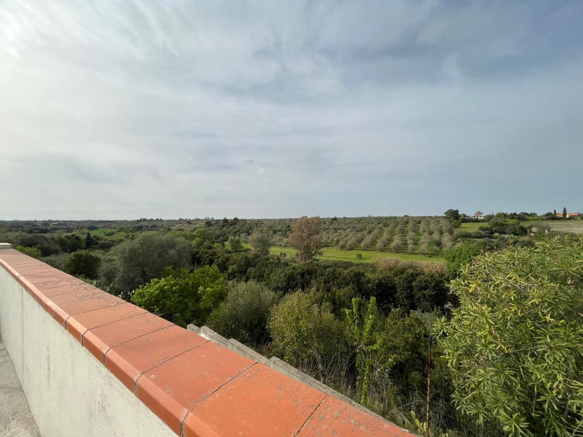 萨萨里La Valle Incantata - Immerso Nel Verde A 10 Minuti Dal Mare公寓 外观 照片